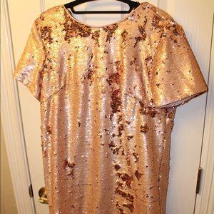 Blush Sparkly Dress