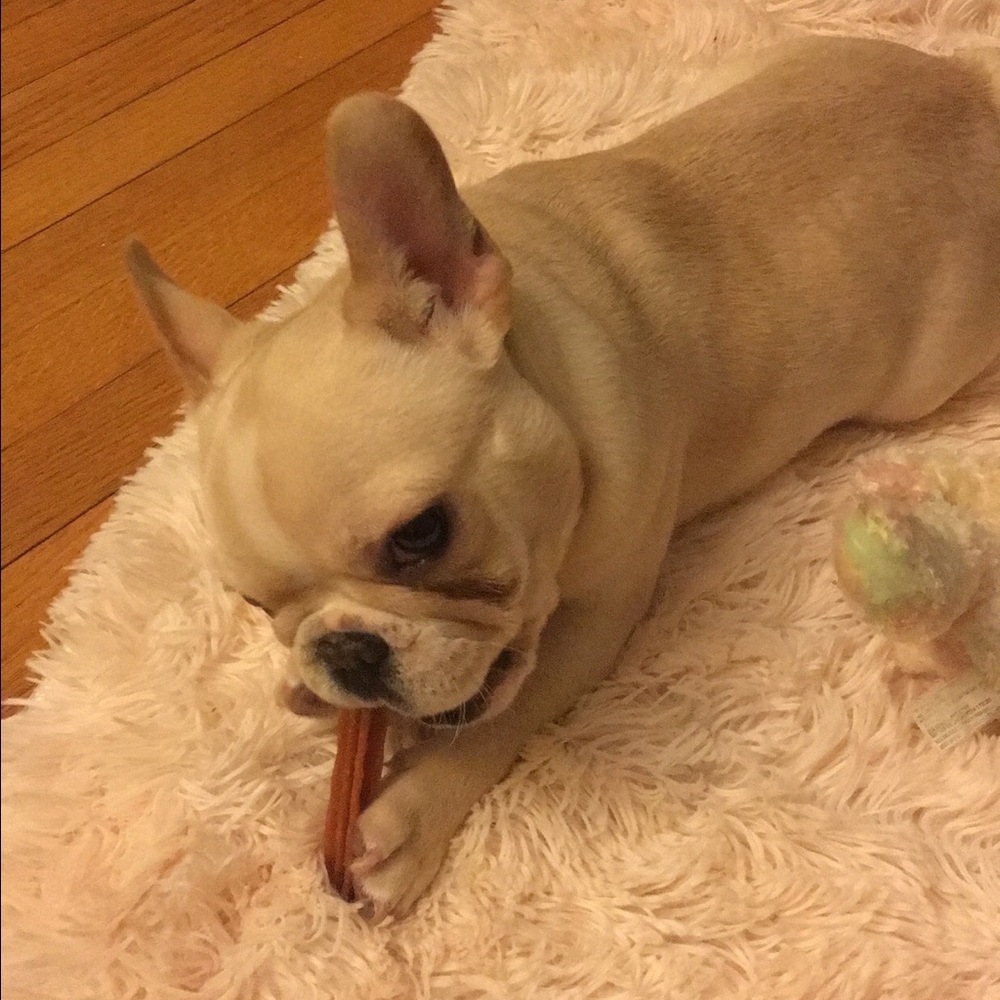 Meet your Posher, Francesca