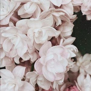 Meet your Posher, Ona