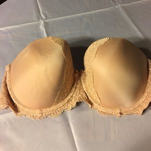 Dream angel bra