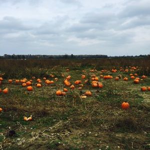 Meet your Posher, Nick