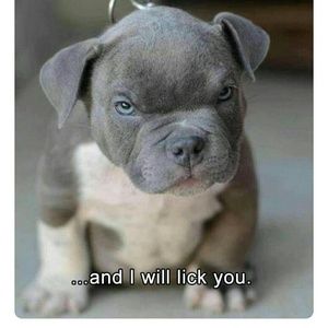 Meet your Posher, Marisol