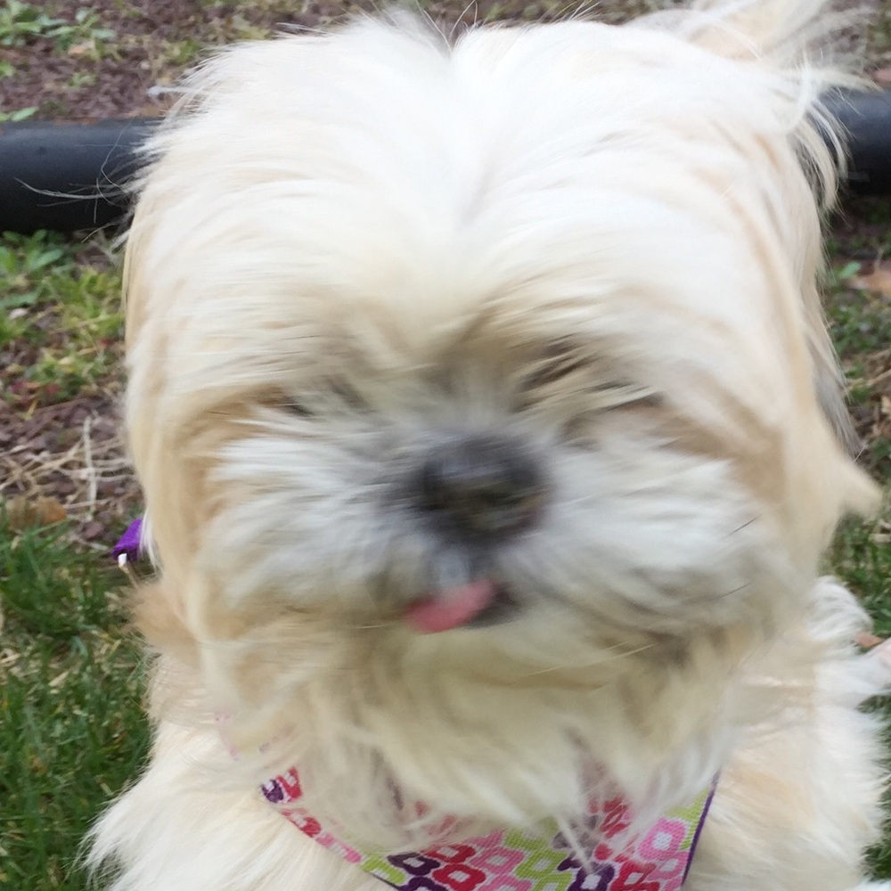 Meet your Posher, Sheri