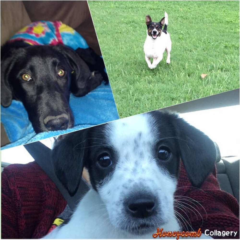 PLEASE READ UPDATED INFO!!!