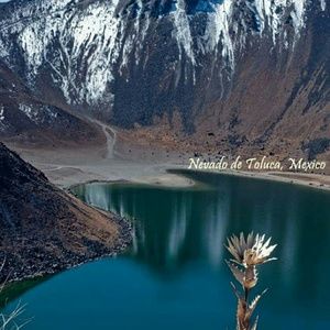 Meet your Posher, Rogelia