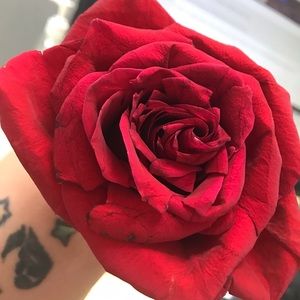 Meet your Posher, Jacky lou