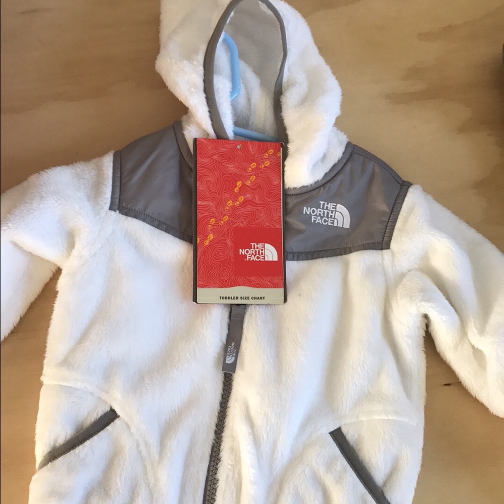 Toddler 2t north Face