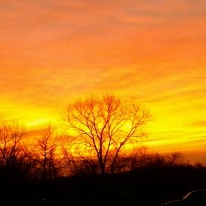 Meet your Posher, Gladys