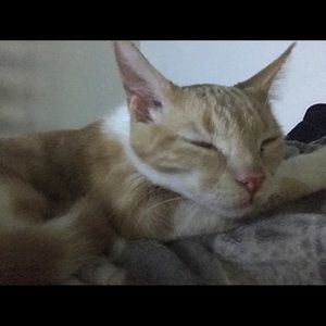 Meet your Posher, Kat