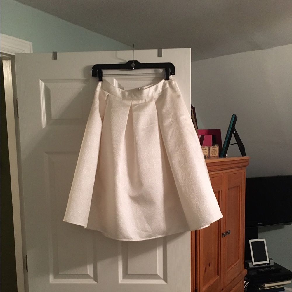Express skirt
