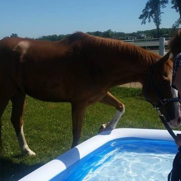 Meet your Posher, Kat - Picture 1 of 1