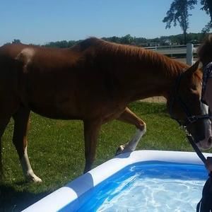 Meet your Posher, Kat