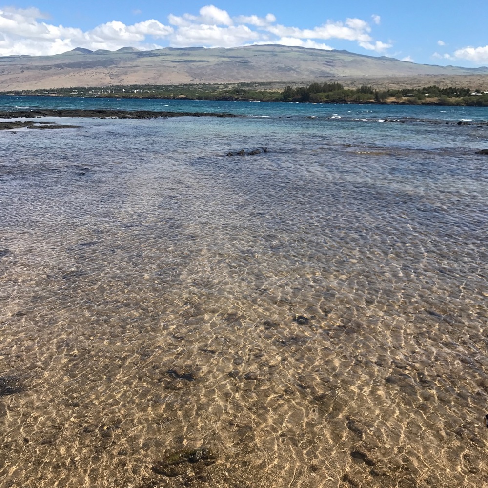 🤗Full❣️Click for pics of Hawaii 🏝👙🌺✌🏻 - Picture 7 of 8