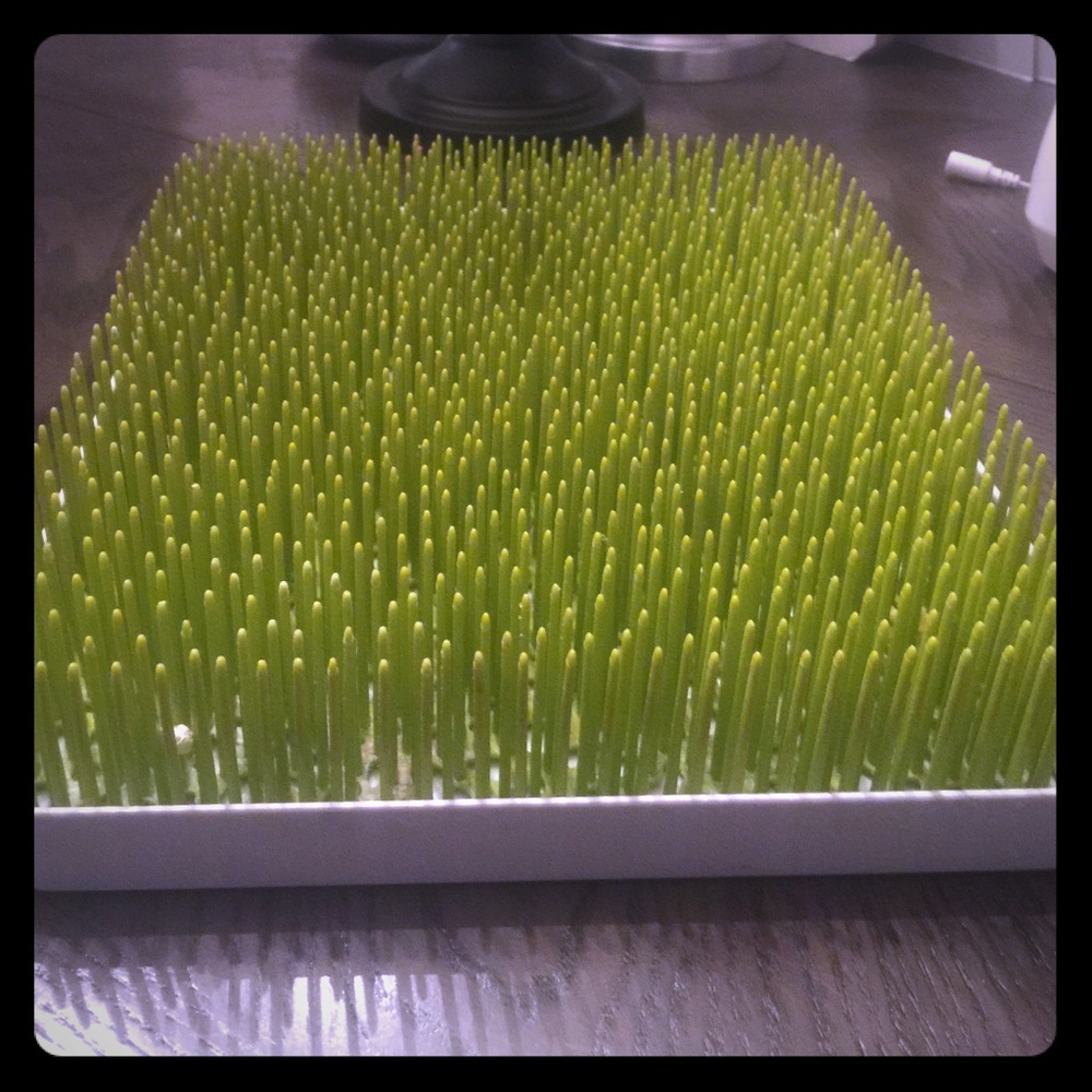 Boon bottle drying grass