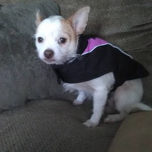 Meet your Posher, Dolores