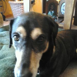 Meet your Posher, Larissa