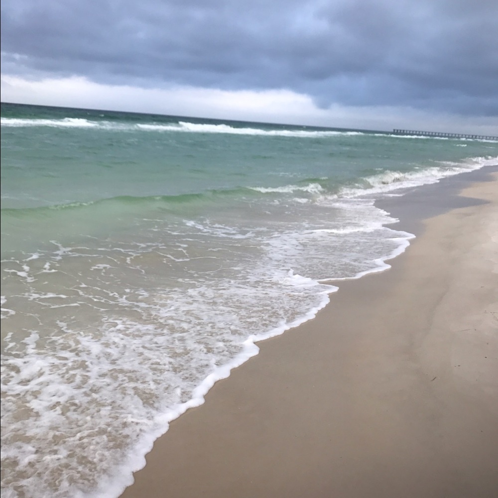 Meet your Posher, Tara