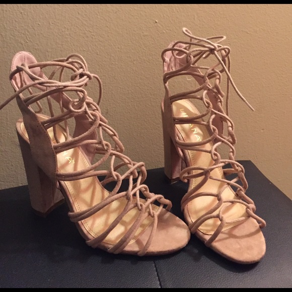 Shoes - BLUSH CHUNKY HEELS