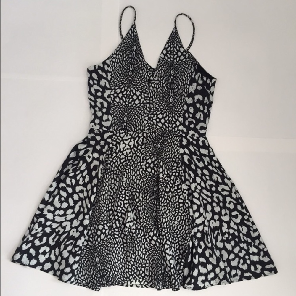 Printed Skater Dress