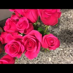 Meet your Posher, Riley