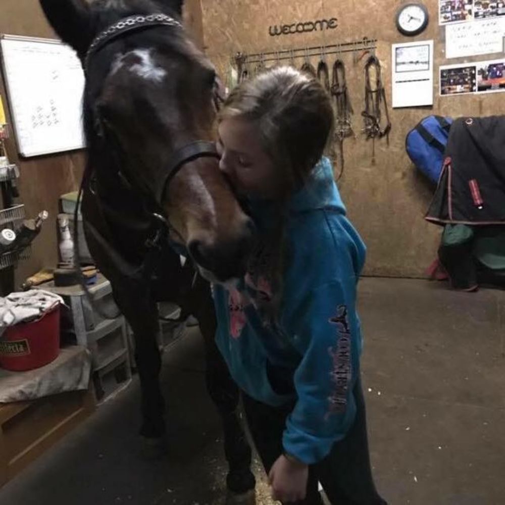 Meet your Posher, Sydney