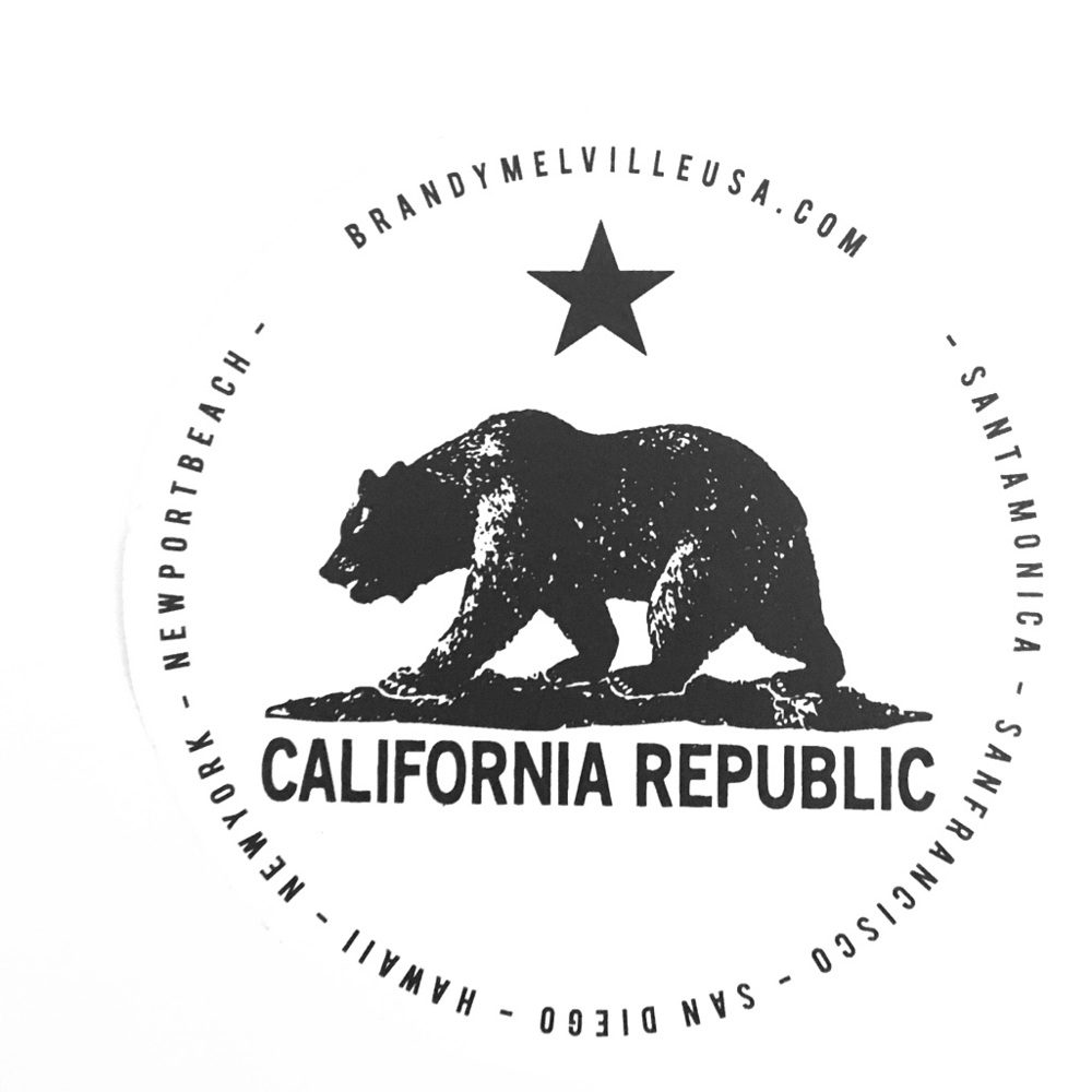 Brandy Melville Sticker!!