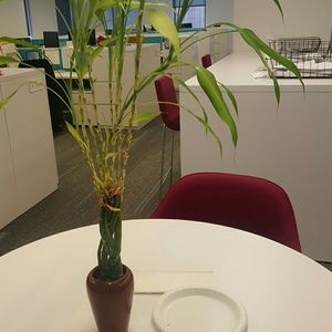 Meet your Posher, Odette