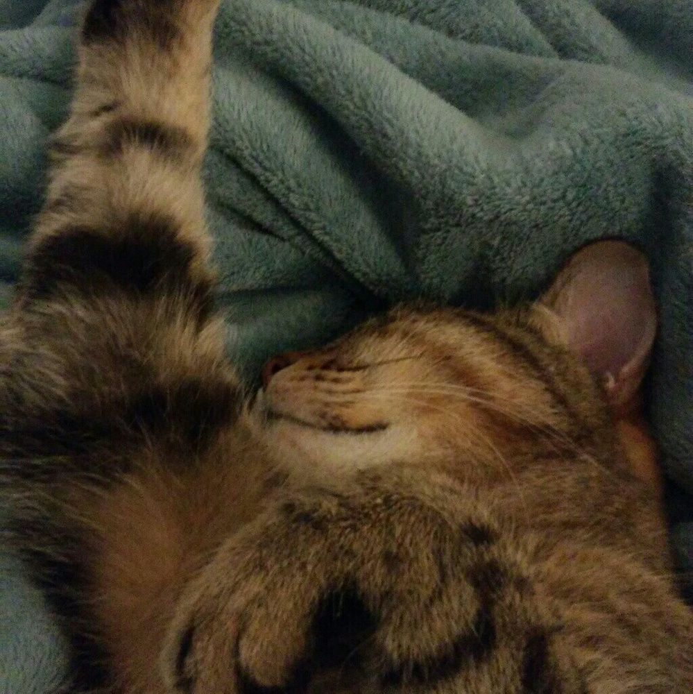 Meet your Posher, Jordan