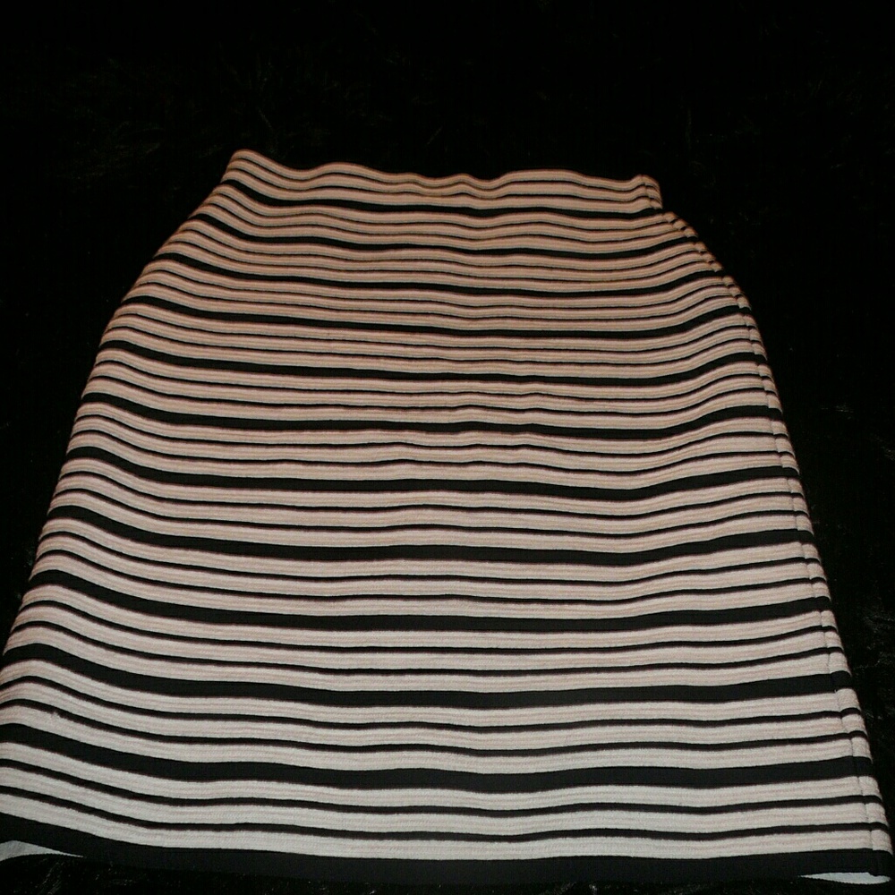 Ann Taylor Skirt Siae Medium