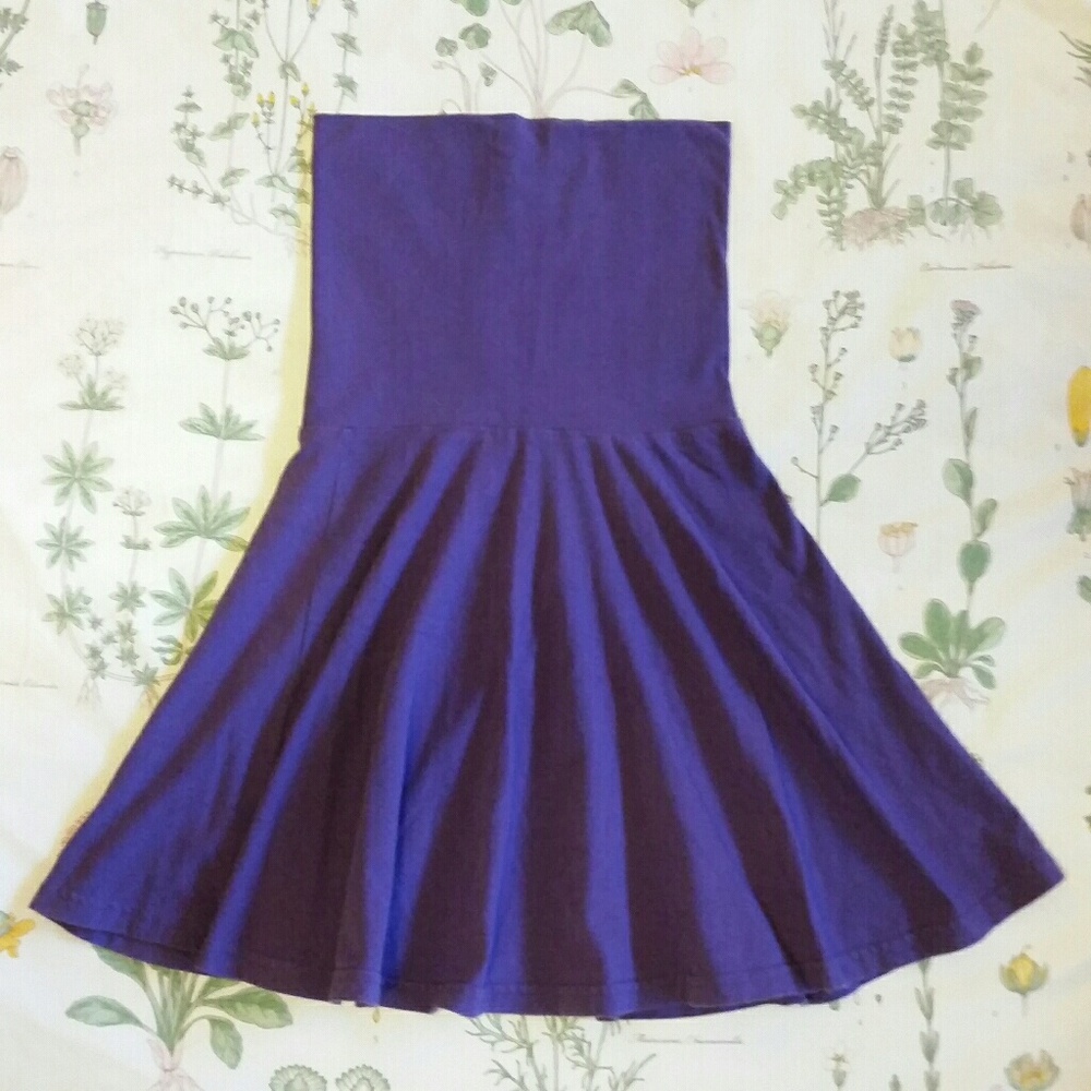 American Apparel Fan Dress/Skirt