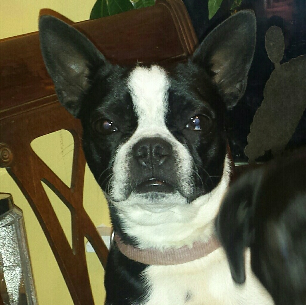 Meet your Posher, Jan