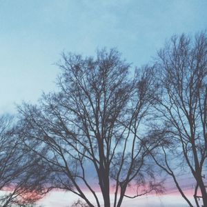 Meet your Posher, Valari