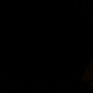 Meet your Posher, Lois