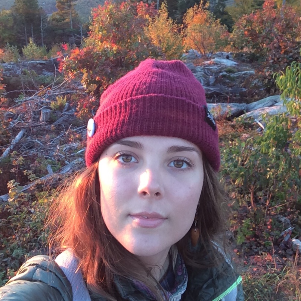 ✨🐦🐺🦋🐛✨