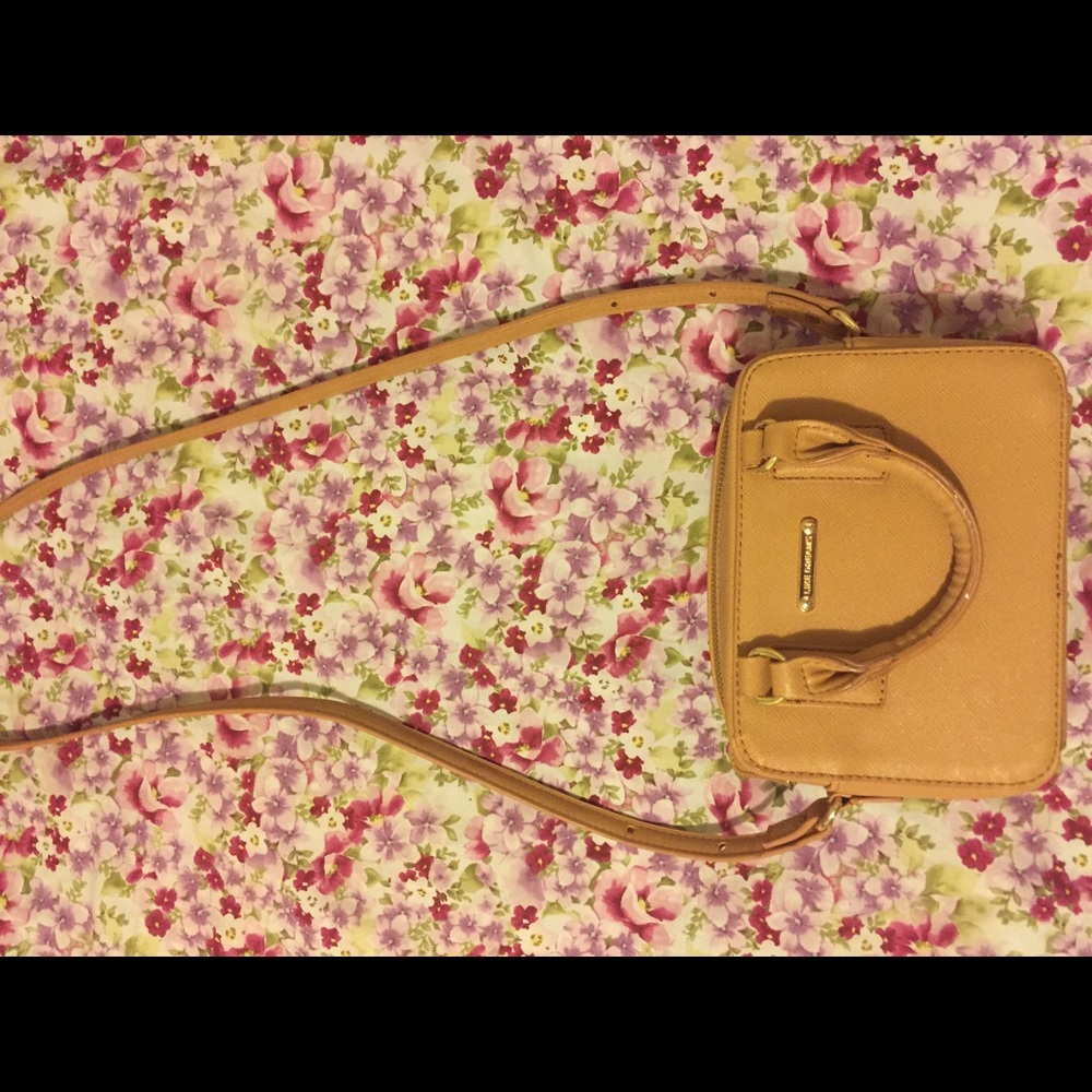 Nude/Brown small purse