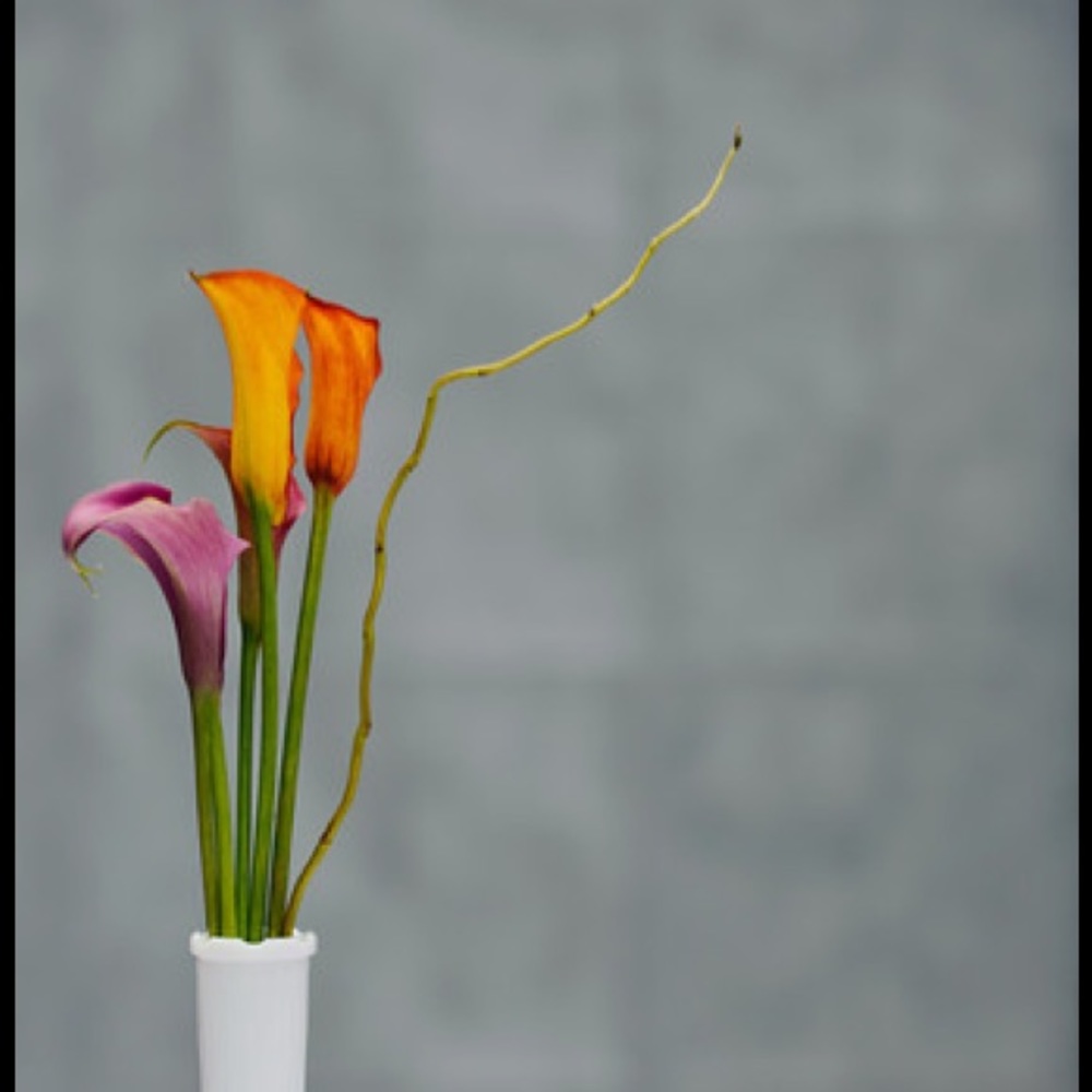 Meet your Posher, Jondwlyn