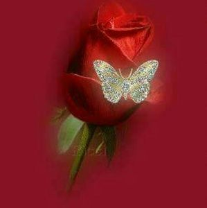 Meet your Posher, Liliana