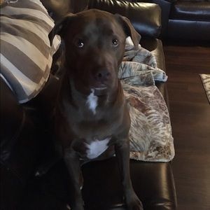 Meet your Posher, Melissa