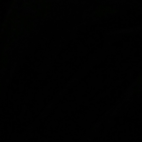 Meet your Posher, Reggie - Picture 1 of 1