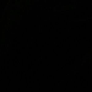 Meet your Posher, Reggie