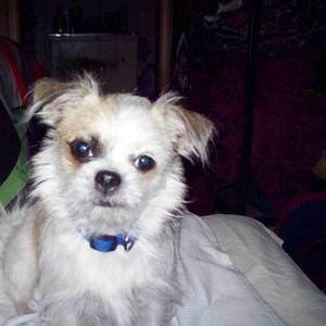 Meet your Posher, Cheryl