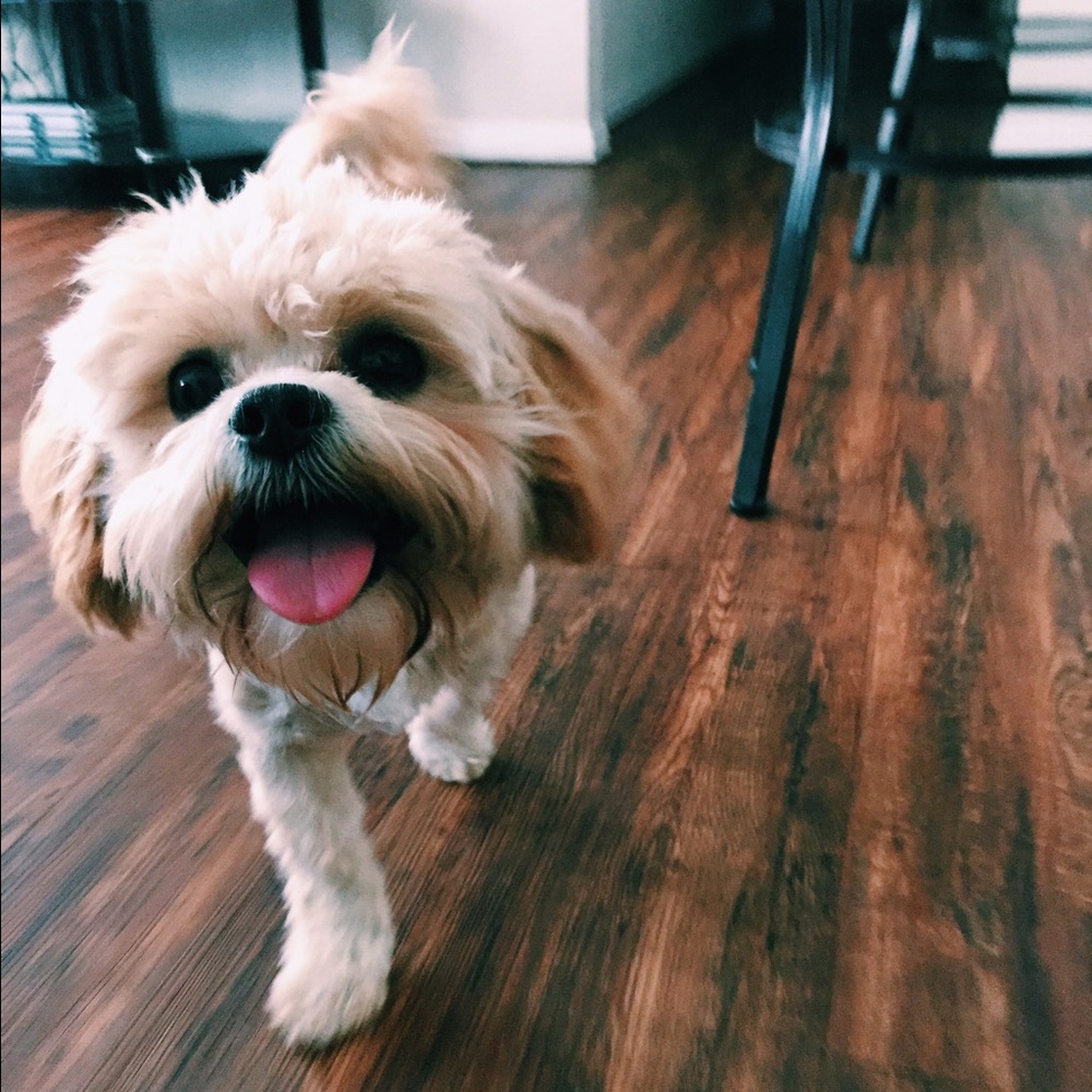 Meet your Posher, Case