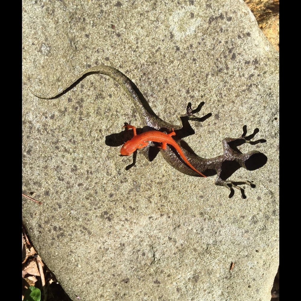 Meet your Posher, Kendra