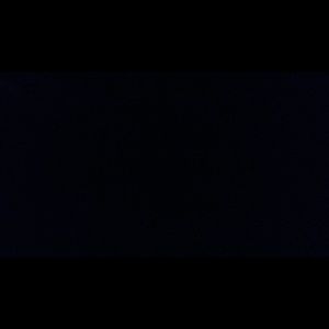 Meet your Posher, Rosemarie