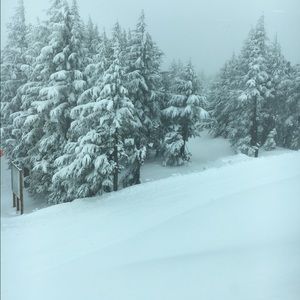 Meet your Posher, Orphee-sheily