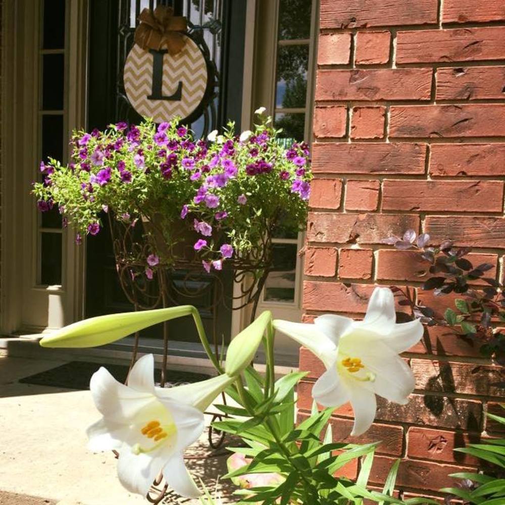 Meet your Posher, Donna