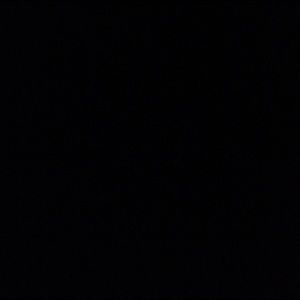 Meet your Posher, Shane