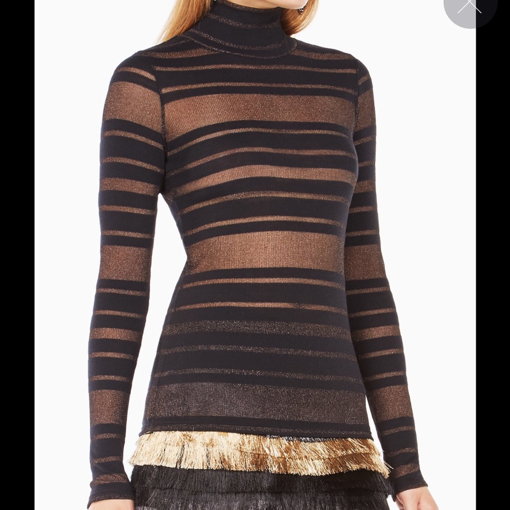 Brinne striped turtle neck
