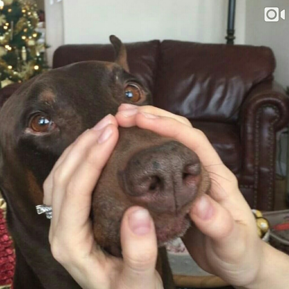 Meet your Posher, Gerd