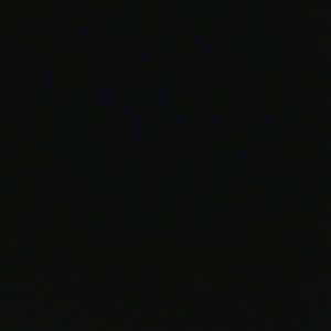 Meet your Posher, Carter